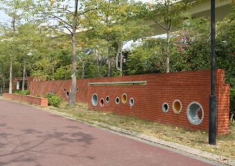 Different artistic effects of Clay brick tiles